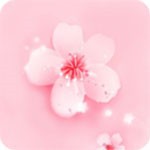 八戒八戒