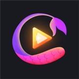 TUMBLR交友app官方版