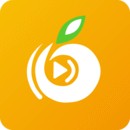 野花视频最新版
