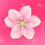 菊花台黄台下载