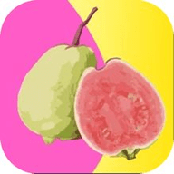 草莓丝瓜香蕉向日葵榴莲无限次版