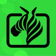 伊人37.tv直播