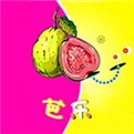 九幺黄9·1安装