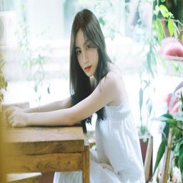 日本大但人文艺术与希腊文化的跨越时空对话：融合与创新的启示